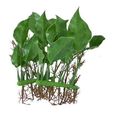 Planta artificial Anubia nana