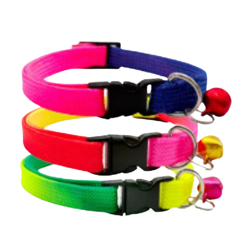 Collar fluorescente