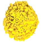 Grava iglo Marina amarillo 450gr