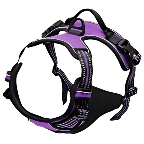 Pechera táctica morada