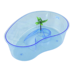 Acuario Para Tortuga