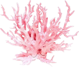 Coral artificial