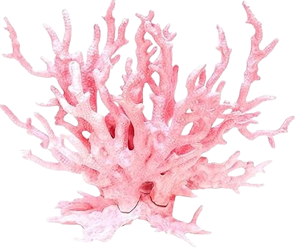 Coral artificial